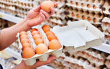 Cosas interesantes que hay que saber sobre el origen de los huevos y sobre su uso