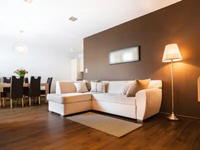 Repelentes naturales para mantener a las arañas lejos de la casa