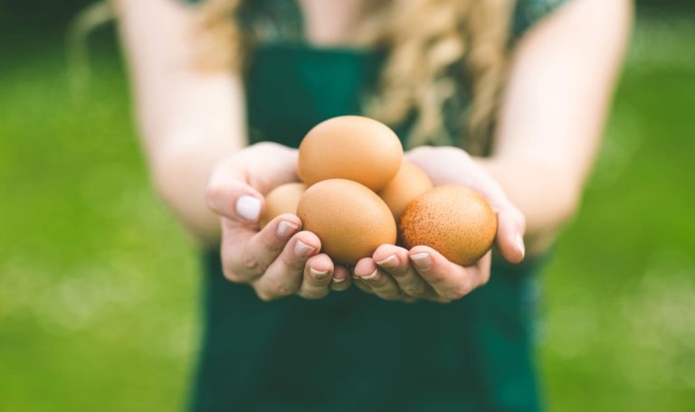 Cosas interesantes que hay que saber sobre el origen de los huevos y sobre su uso