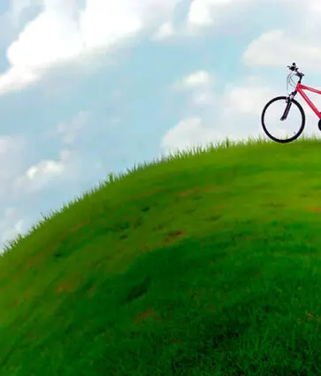 ¿Quieres tener tu jardín siempre verde? Elige césped artificial