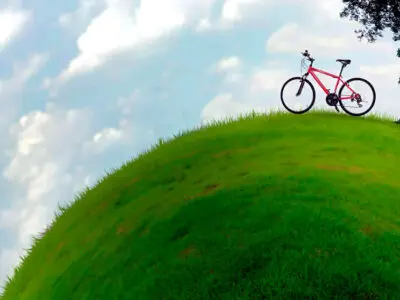 ¿Quieres tener tu jardín siempre verde? Elige césped artificial