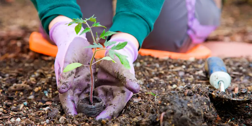 ¿Cuáles son los criterios a tener en cuenta? ¿Cuáles son los criterios a tener en cuenta?