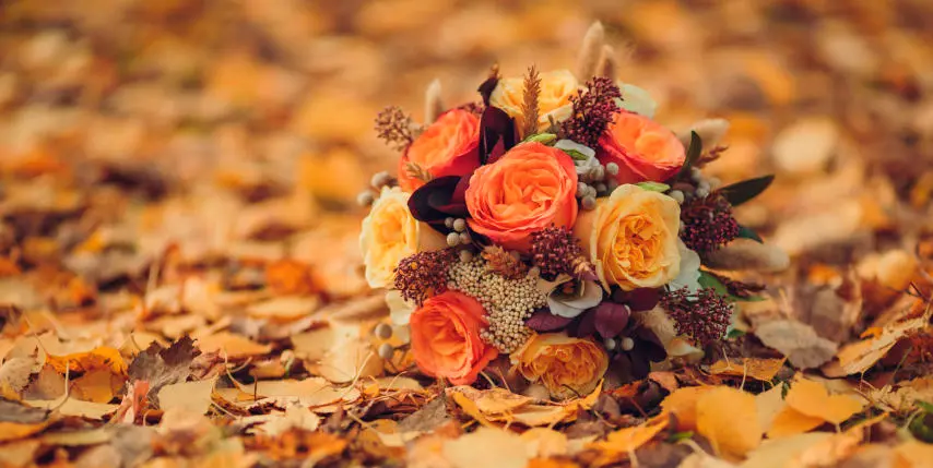 decoraciones temáticas decoraciones temáticas