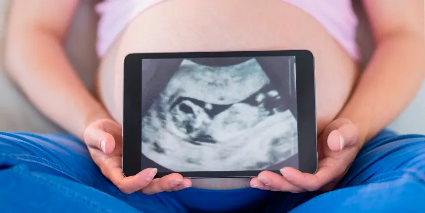 La ecografía del segundo trimestre La ecografía del segundo trimestre