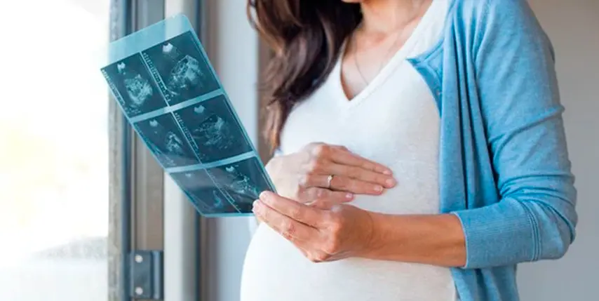 La ecografía en el embarazo La ecografía en el embarazo