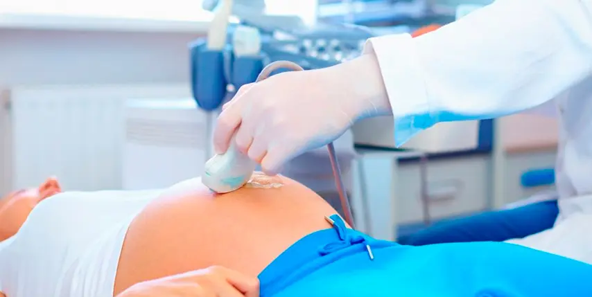 La importancia de la ecografía durante el embarazo