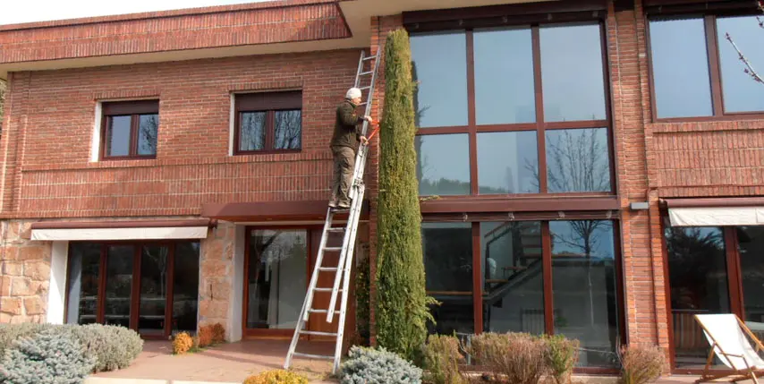 Beneficios de la poda Beneficios de la poda