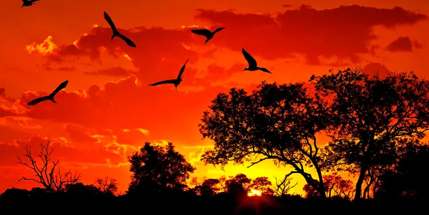 Luna de miel en Sudáfrica Luna de miel en Sudáfrica