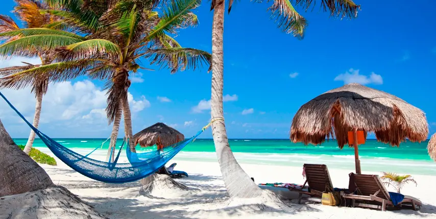 Luna de miel en el Caribe Luna de miel en el Caribe