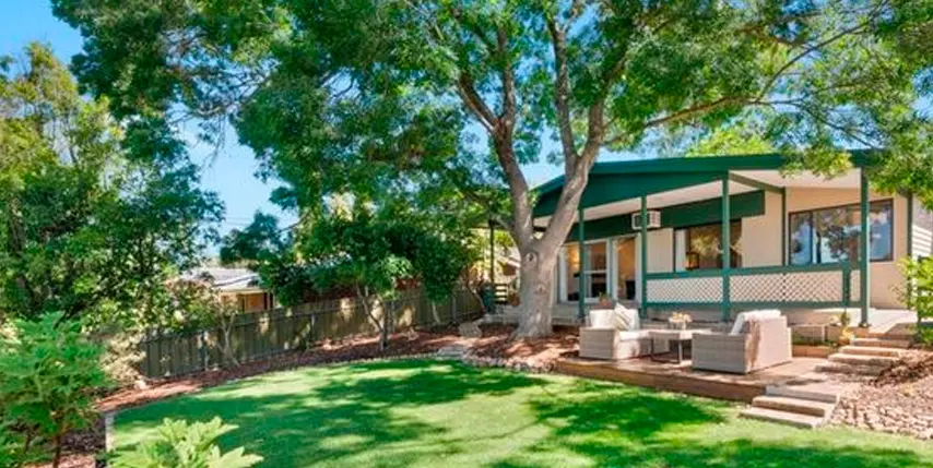 Tala de un árbol porque da sombra Tala de un árbol porque da sombra