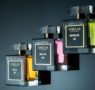 Similar Parfum da 5 razones por las que escoger perfumes de equivalencia