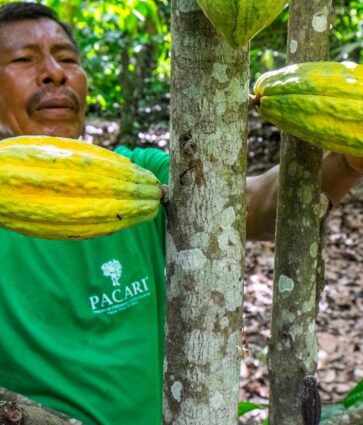 Paccari empresa responsable: prácticas que priorizan el bienestar económico, social y ambiental