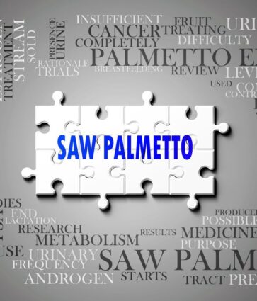 Saw Palmetto, de Serenoa Repens, potencia la salud prostática, urinaria y hormonal en hombres y mujeres