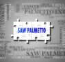 Saw Palmetto, de Serenoa Repens, potencia la salud prostática, urinaria y hormonal en hombres y mujeres