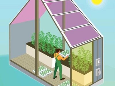 Green Rain Solar Inc. anuncia el lanzamiento de invernaderos solares autónomos