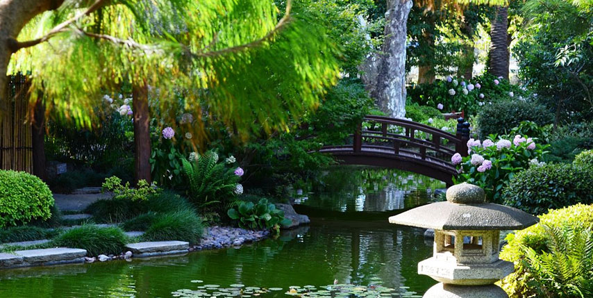 Jardín japonés: armonía, calma y contemplación