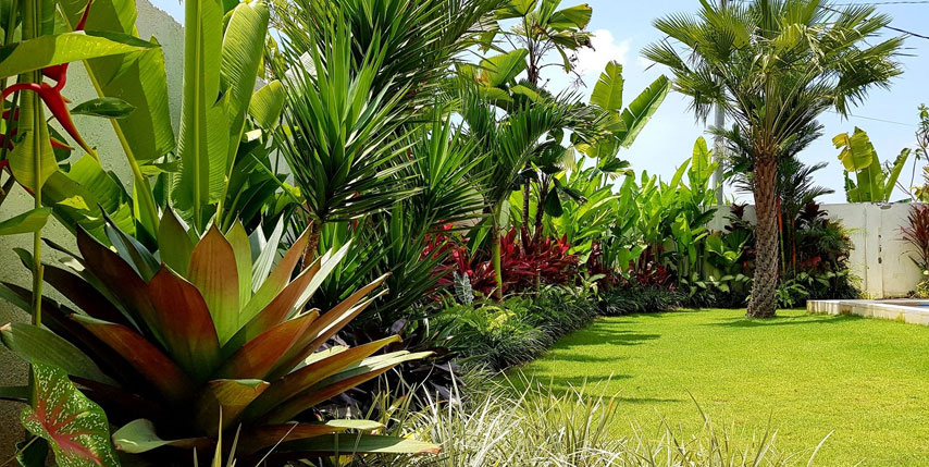 Jardín tropical: color, sombra y exuberancia