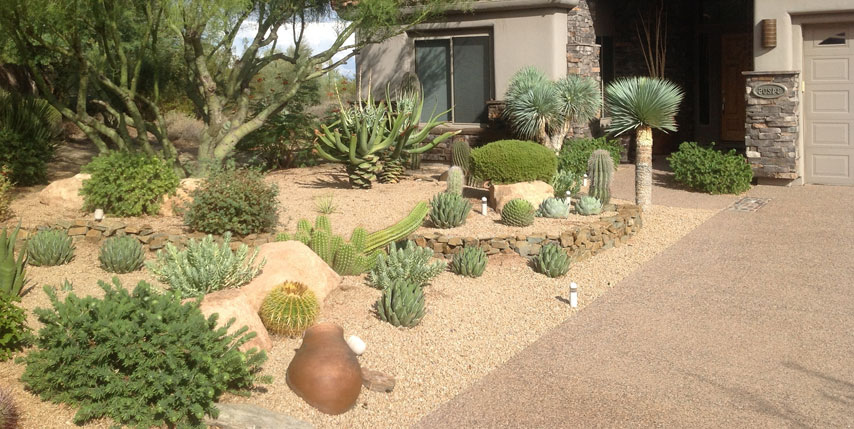 Jardín xeriscape: eficiencia hídrica sin perder estilo