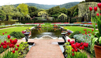 ¿Qué tipo de jardín es perfecto para ti?