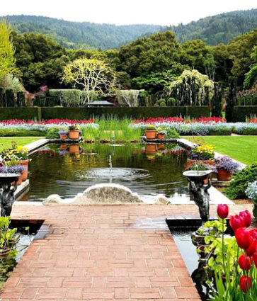 ¿Qué tipo de jardín es perfecto para ti?