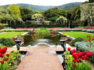 ¿Qué tipo de jardín es perfecto para ti?