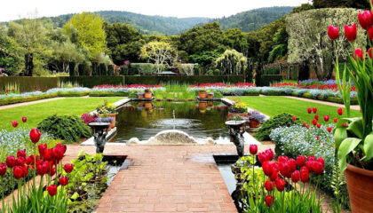 ¿Qué tipo de jardín es perfecto para ti?