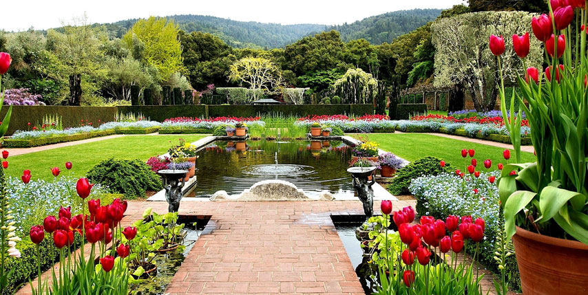 ¿Qué tipo de jardín es perfecto para ti?
