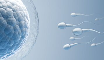 Dra. Estefanía Rodríguez, jefa del Servicio de Reproducción Asistida del Hospital de Día Quirónsalud Donostia y Policlínica Gipuzkoa: «La inteligencia artificial ya se utiliza para seleccionar óvulos y espermatozoides con mayor precisión»