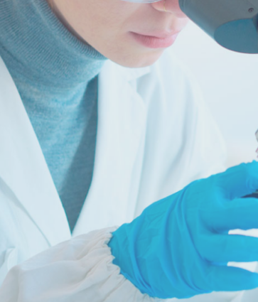 Conejos, clave en avances médicos: investigación ética impulsa la salud humana