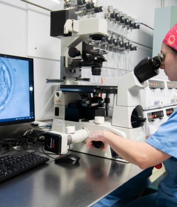 La edad materna no influye en la implantación embrionaria ni en la tasa de nacido vivo tras la transferencia de embriones euploides en ciclos de reproducción asistida