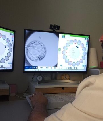 Un modelo de IA prevé con acierto del 82% el desarrollo de embriones con técnicas de reproducción asistida