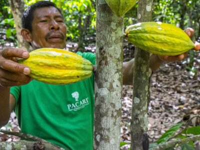 Ecuador se consolida como el destino ideal para los amantes del cacao