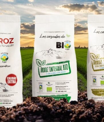 El arroz ecológico de BioPalacín Planet: regado con agua pura del Pirineo y cultivado con respeto al entorno