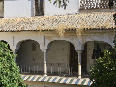 THE YOGA GALLERY FEST celebrará en Sevilla su primera edición en otoño