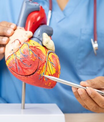 Dr. Gonzalo Navarrete, jefe del servicio de Cardiología de Policlínica Gipuzkoa: «El ejercicio físico es fundamental para prevenir enfermedades cardiovasculares, incluso independientemente del peso del paciente»