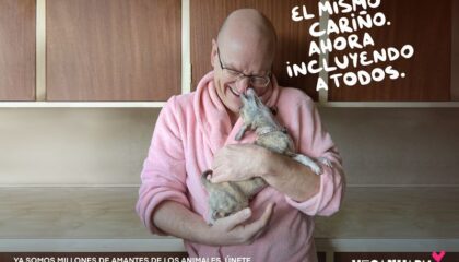 ‘Año nuevo, siempre tú’: Veganuary lanza su campaña 2026