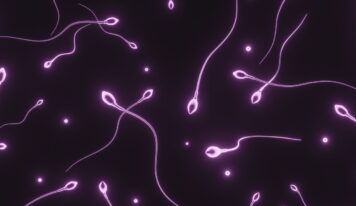 Dra. Miren Mandiola, directora del Laboratorio de Reproducción Asistida del Hospital de Día Quirónsalud Donostia: «Los donantes de semen tienen muchos más estudios realizados que cualquier pareja en un embarazo natural»