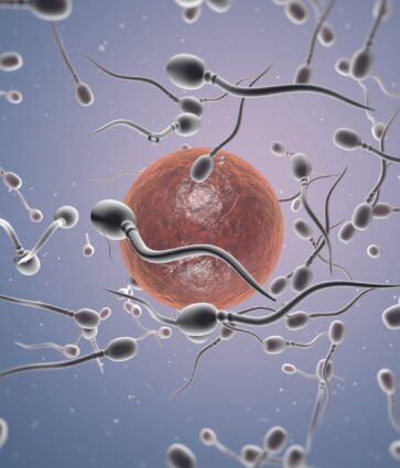 Dra. Miren Mandiola, directora del Laboratorio de Reproducción Asistida del Hospital de Día Quirónsalud Donostia: «Preservar la fertilidad permite a la mujer conciliar maternidad y proyectos personales»