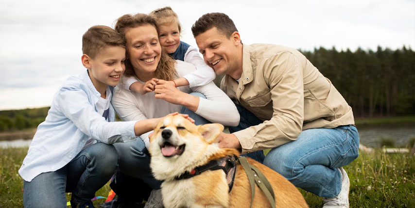 Desarrollo emocional en niños Desarrollo emocional en niños