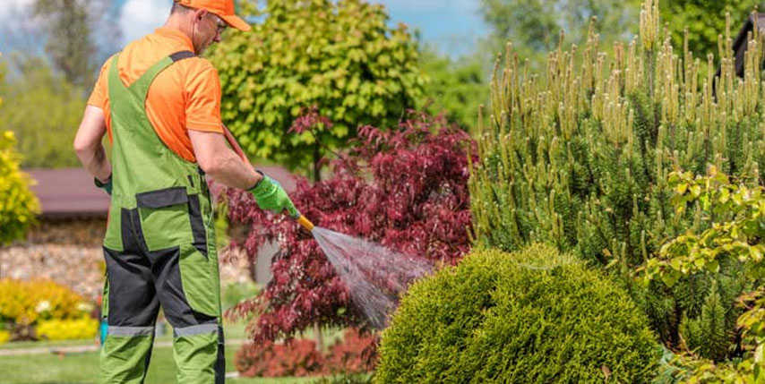 Gestión responsable del agua Gestión responsable del agua