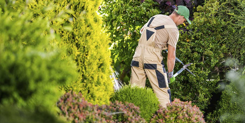 Impacto del cuidado técnico de jardines en comunidades y propiedades Impacto del cuidado técnico de jardines en comunidades y propiedades