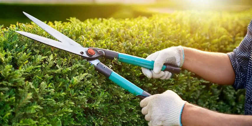 Mantenimiento preventivo y predictivo Mantenimiento preventivo y predictivo