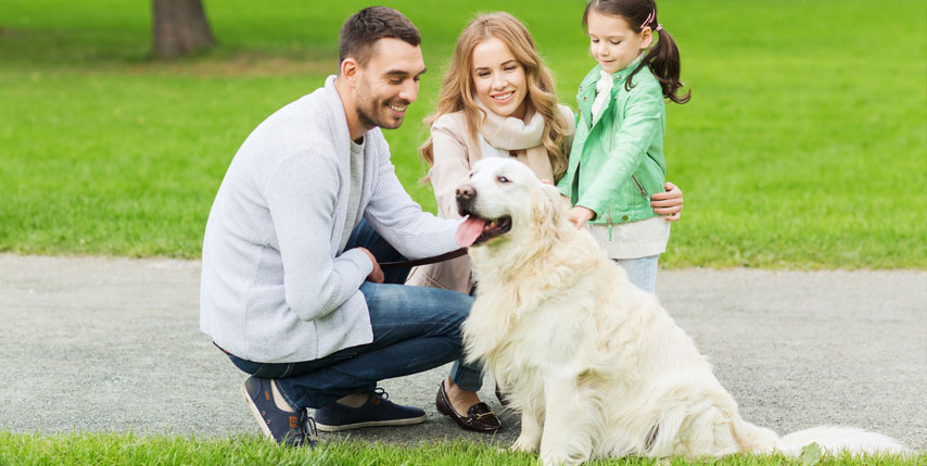 Relación entre mascotas y salud mental Relación entre mascotas y salud mental