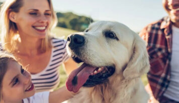 Salud emocional y animales: una relación que marca la diferencia