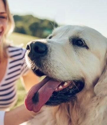 Salud emocional y animales: una relación que marca la diferencia