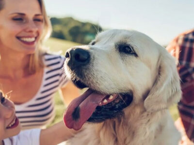 Salud emocional y animales: una relación que marca la diferencia
