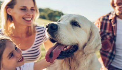 Salud emocional y animales: una relación que marca la diferencia
