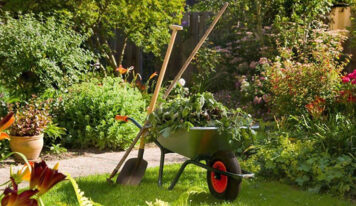 Ventajas del mantenimiento de jardines