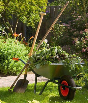 Ventajas del mantenimiento de jardines