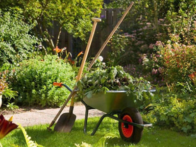 Ventajas del mantenimiento de jardines